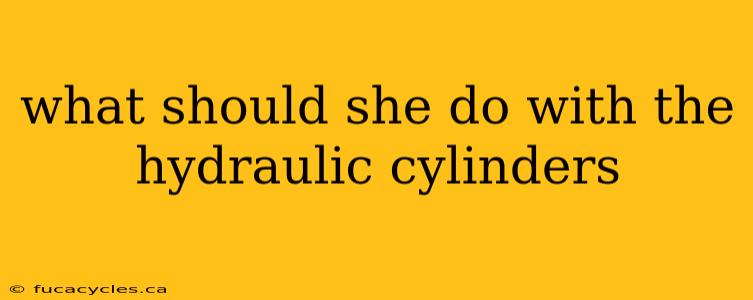 what should she do with the hydraulic cylinders