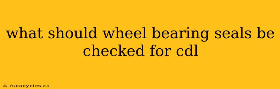 what should wheel bearing seals be checked for cdl