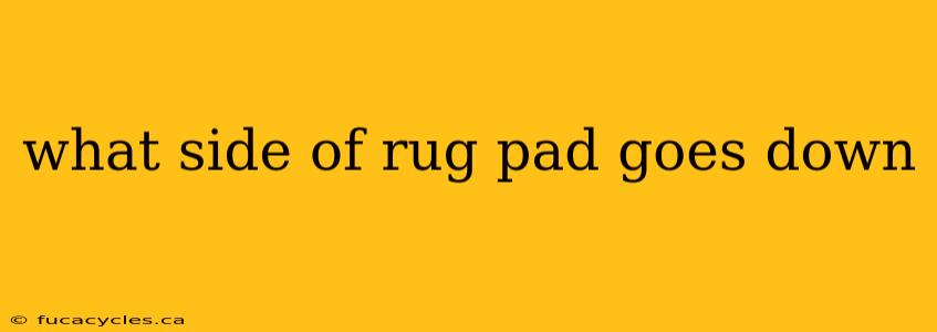 what side of rug pad goes down