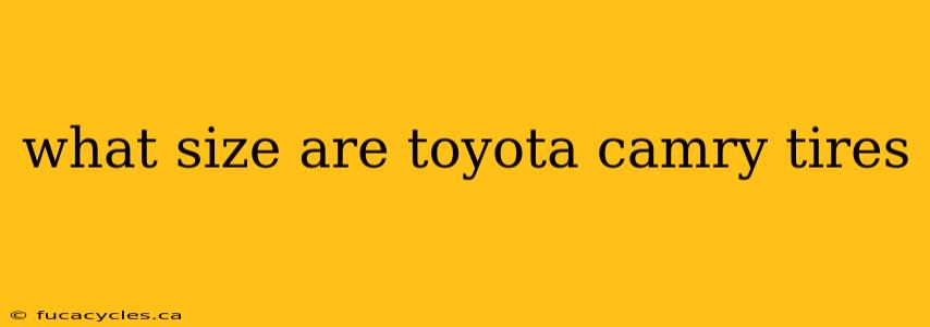 what size are toyota camry tires