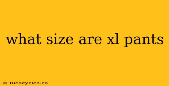 what size are xl pants