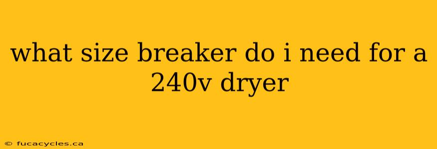 what size breaker do i need for a 240v dryer