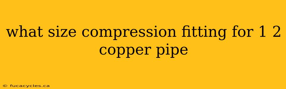 what size compression fitting for 1 2 copper pipe