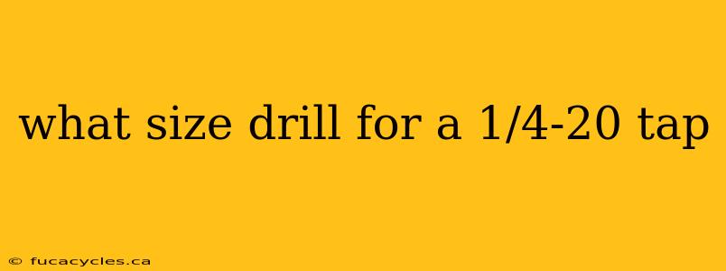 what size drill for a 1/4-20 tap