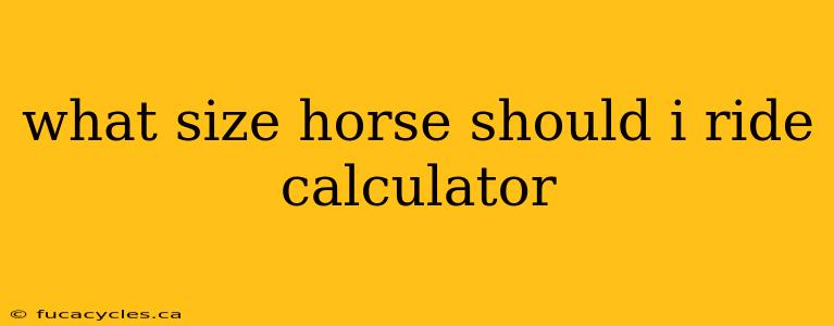 what size horse should i ride calculator