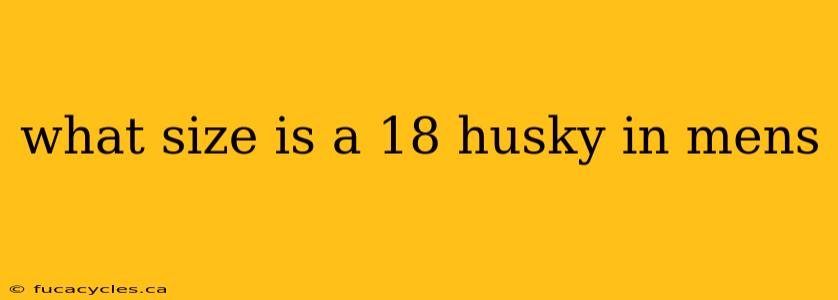 what size is a 18 husky in mens