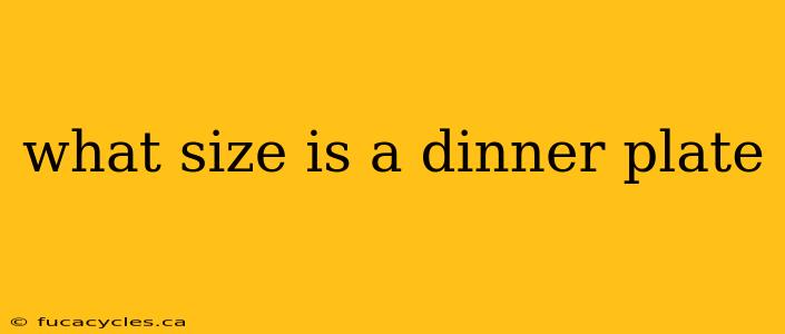 what size is a dinner plate