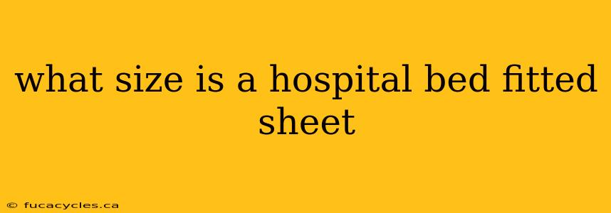 what size is a hospital bed fitted sheet