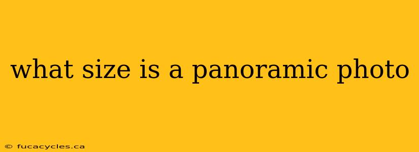 what size is a panoramic photo