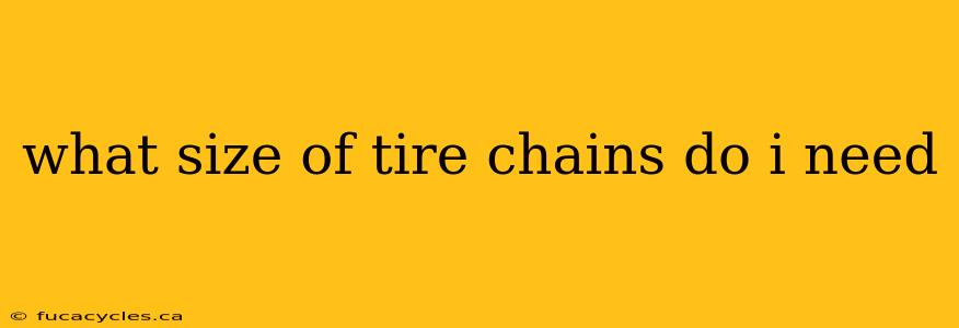 what size of tire chains do i need