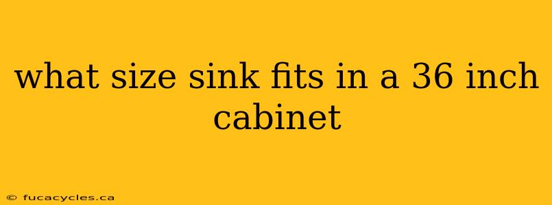 what size sink fits in a 36 inch cabinet