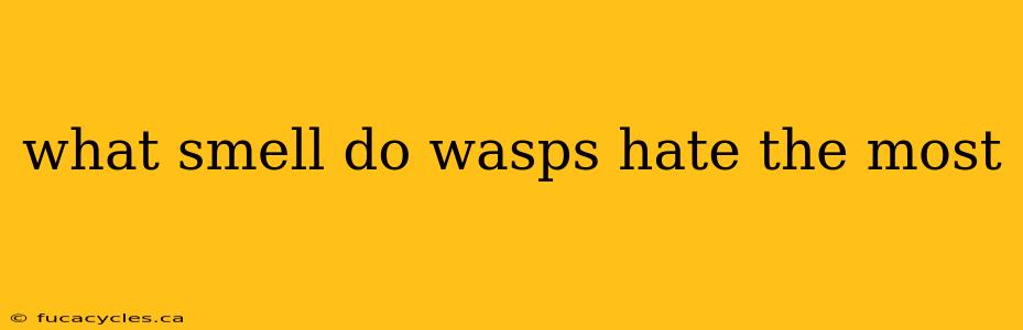 what smell do wasps hate the most