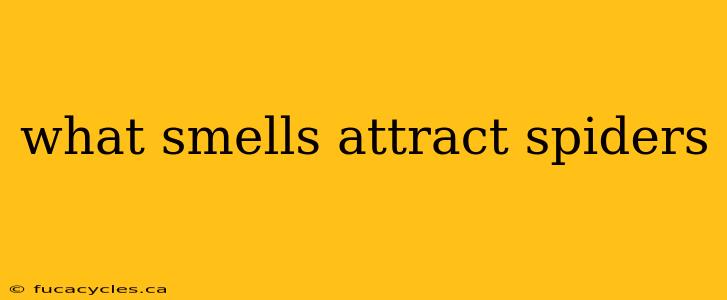 what smells attract spiders