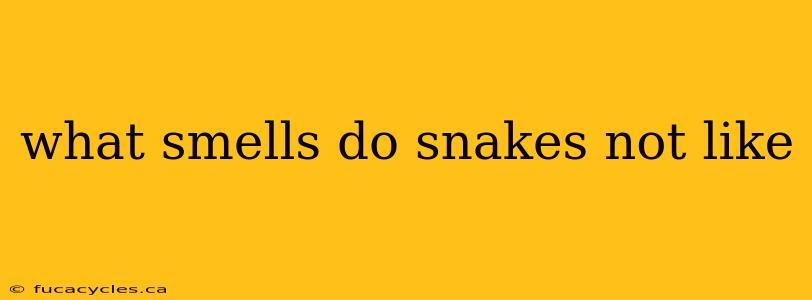 what smells do snakes not like