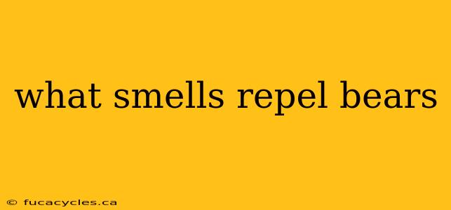 what smells repel bears