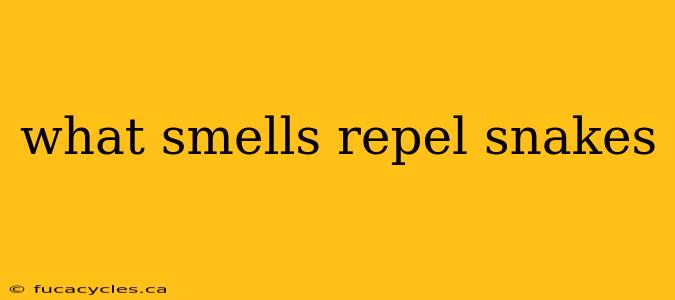 what smells repel snakes