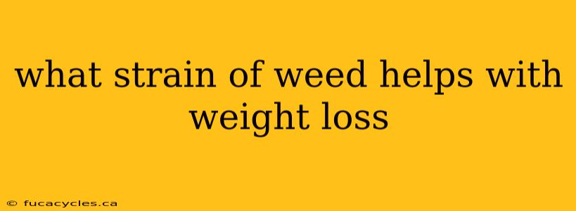 what strain of weed helps with weight loss