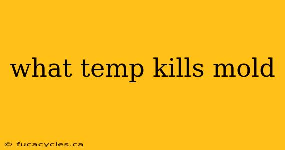 what temp kills mold