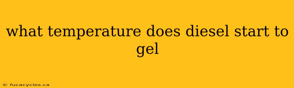 what temperature does diesel start to gel