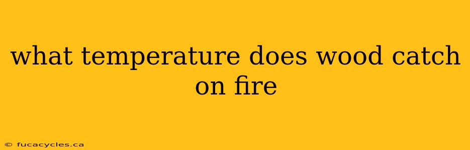 what temperature does wood catch on fire