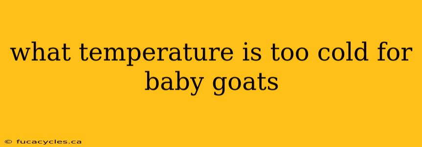 what temperature is too cold for baby goats