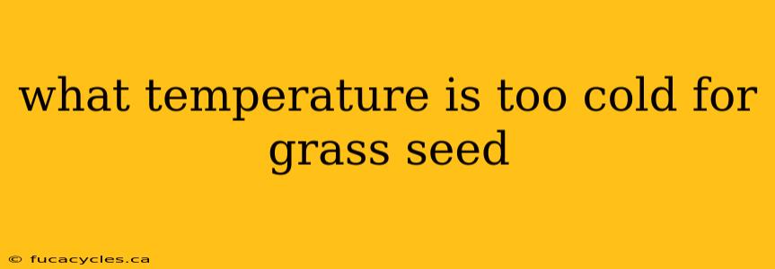 what temperature is too cold for grass seed