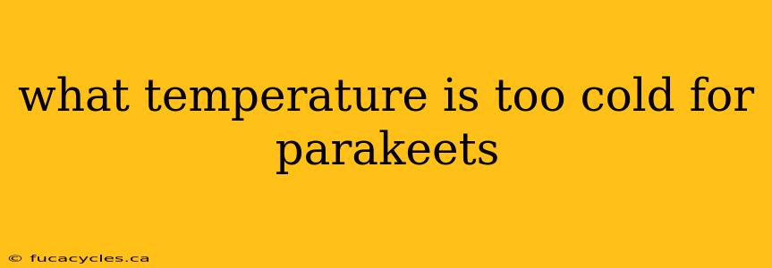 what temperature is too cold for parakeets