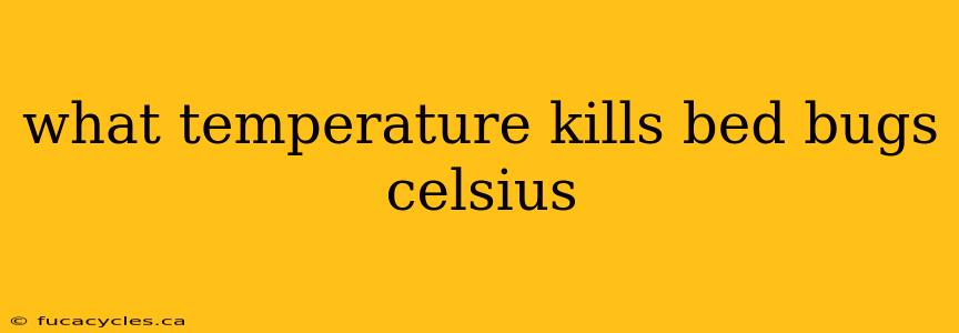 what temperature kills bed bugs celsius