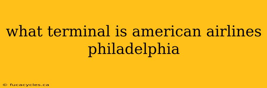 what terminal is american airlines philadelphia