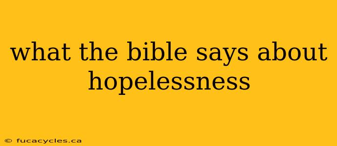 what the bible says about hopelessness