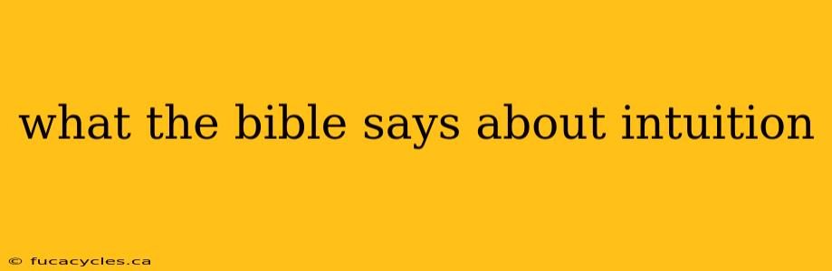 what the bible says about intuition