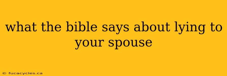 what the bible says about lying to your spouse