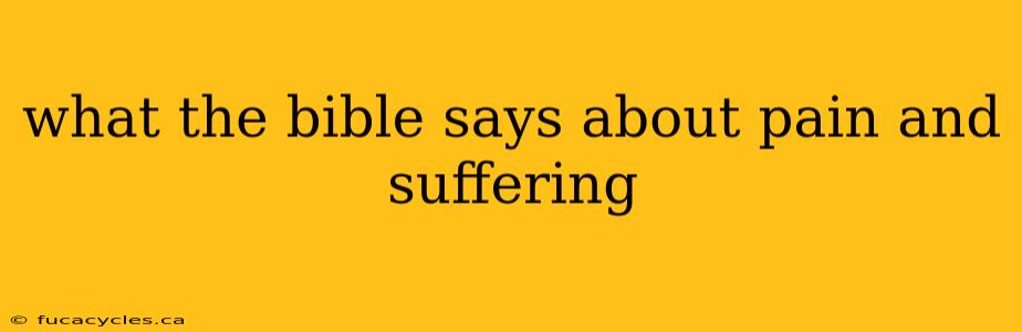 what the bible says about pain and suffering