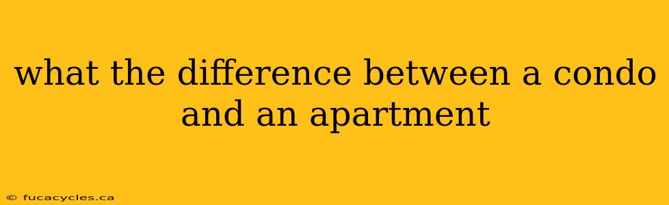 what the difference between a condo and an apartment