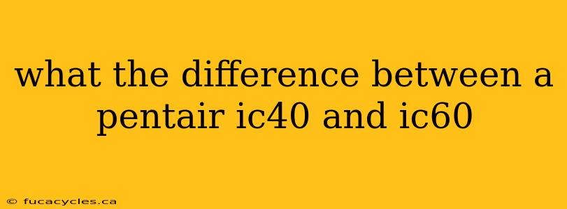 what the difference between a pentair ic40 and ic60