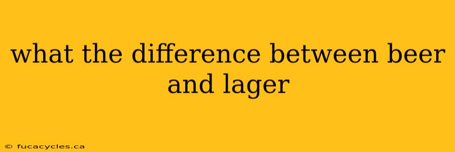 what the difference between beer and lager