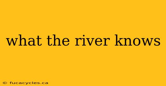 what the river knows