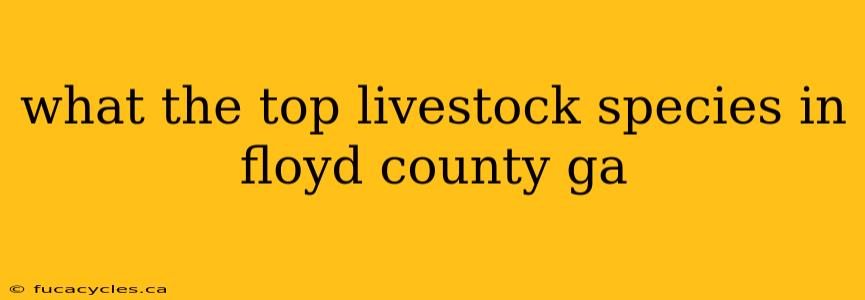 what the top livestock species in floyd county ga