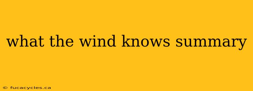 what the wind knows summary