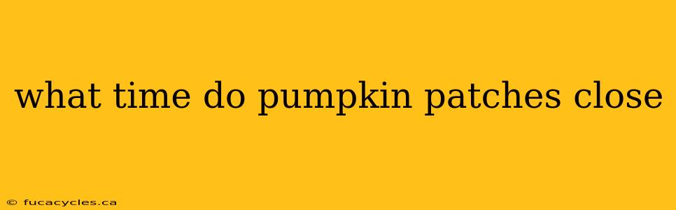 what time do pumpkin patches close