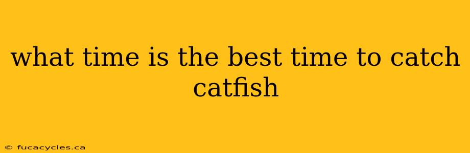 what time is the best time to catch catfish