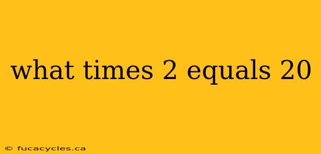 what times 2 equals 20