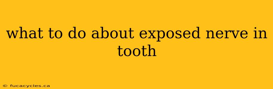 what to do about exposed nerve in tooth