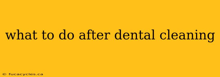 what to do after dental cleaning