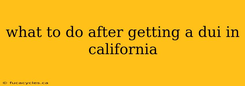 what to do after getting a dui in california