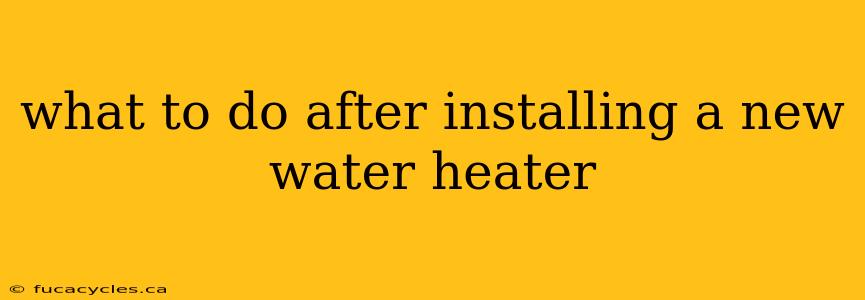 what to do after installing a new water heater