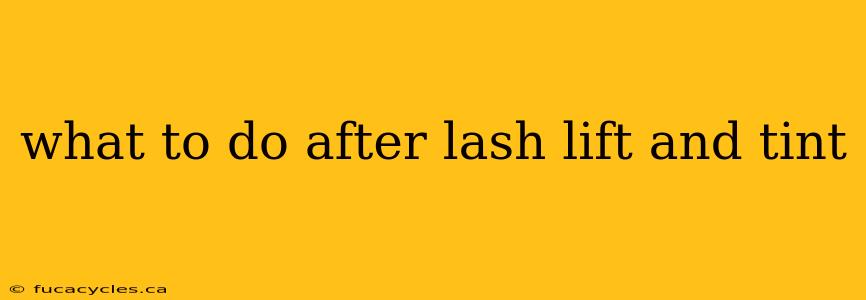 what to do after lash lift and tint