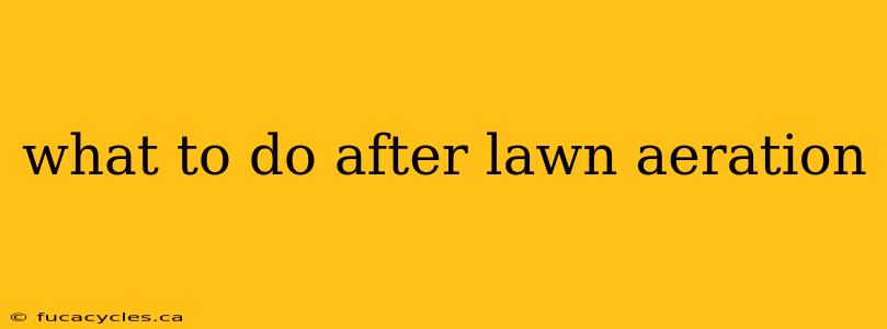 what to do after lawn aeration