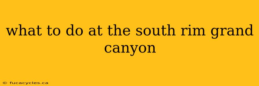 what to do at the south rim grand canyon