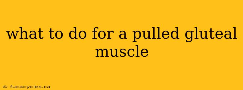 what to do for a pulled gluteal muscle